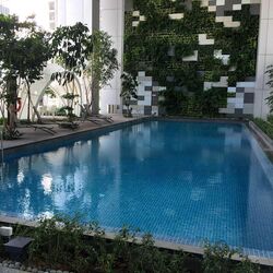 Sbf Center (D1), Office #481533981